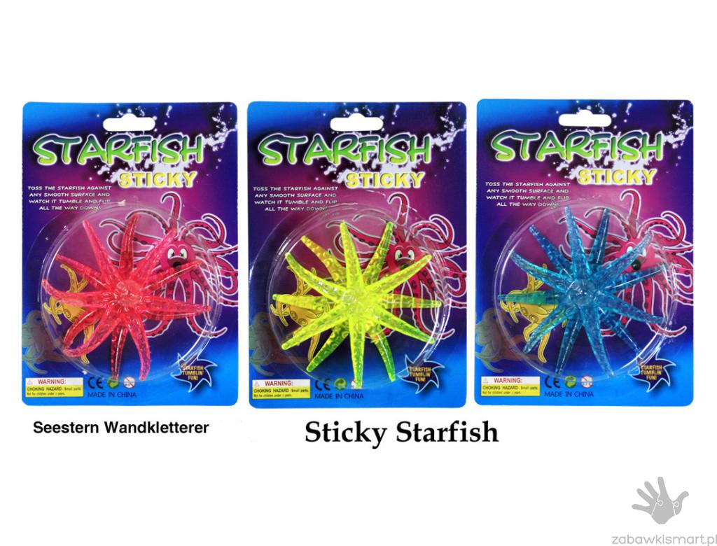 KC "Rozciągliwa rozgwiazda" - obrazek 2