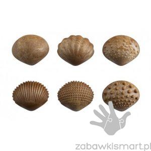 Muszle dotykowe EDX- zestaw 36 szt.