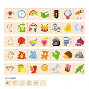 Sortujemy zmysły- układanka Viga