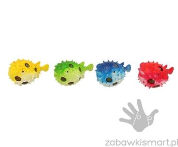 KC Gniotek z kolcami i kolorowymi kuleczkami- Rybka