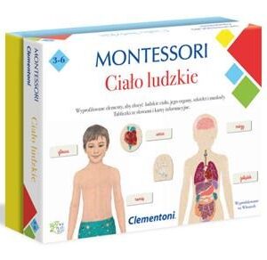 Clementoni Montessori- ciało ludzkie