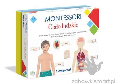 Clementoni Montessori- ciało ludzkie