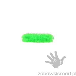 Włochata gąsienica