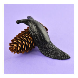 Sensoryczny ślimak- RobeToy