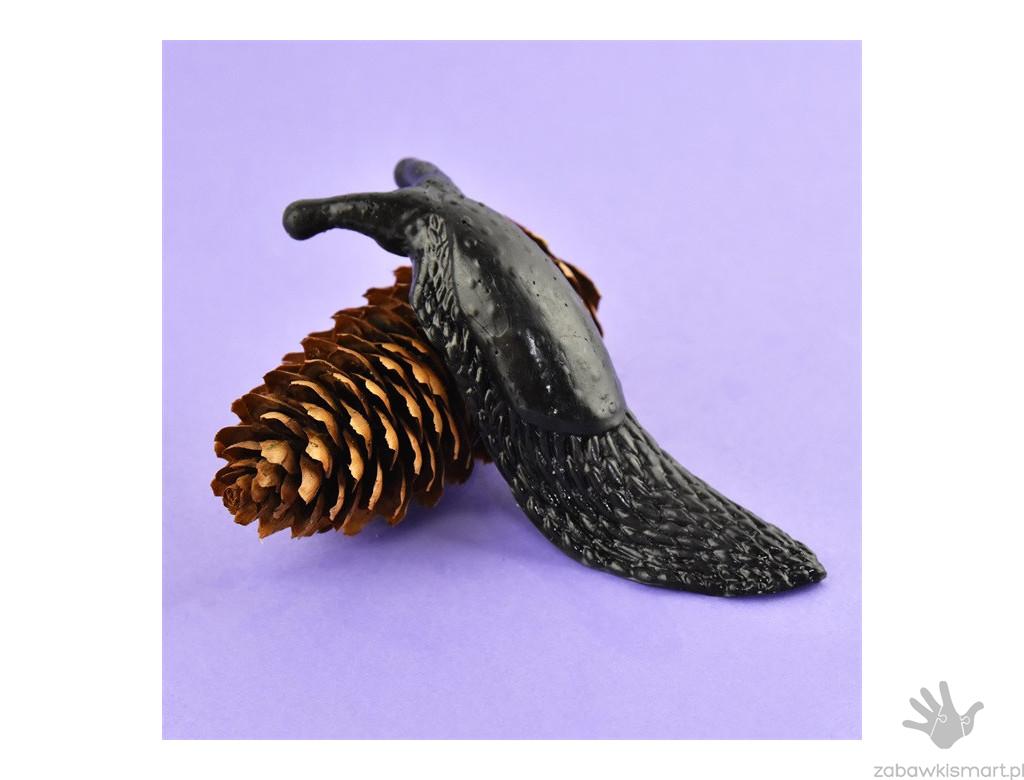 Sensoryczny ślimak- RobeToy