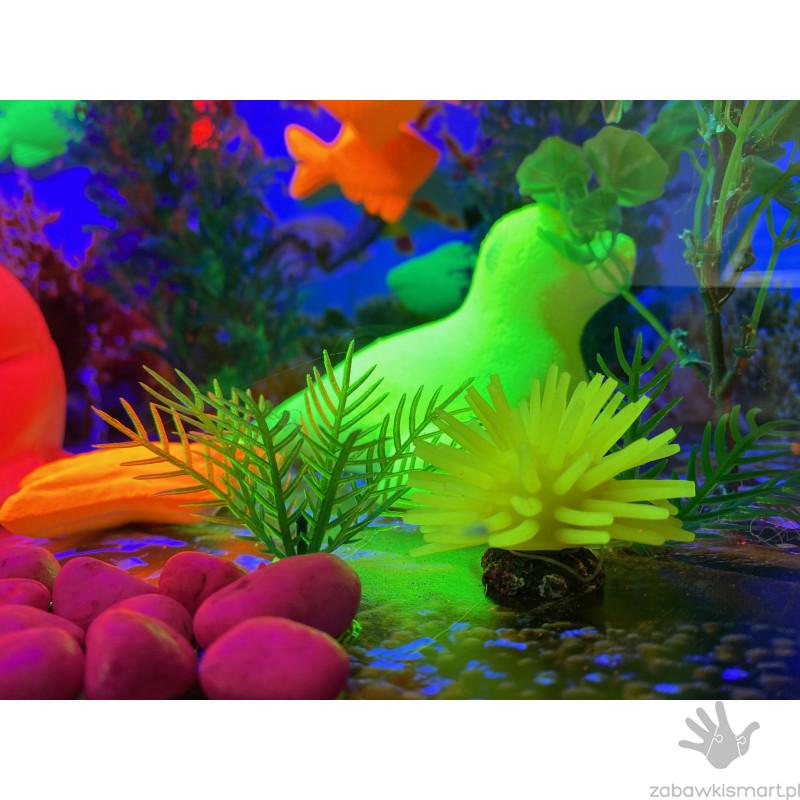 Magiczne akwarium - obrazek 2