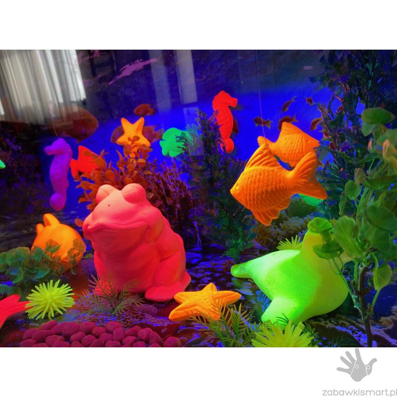 Magiczne akwarium - obrazek 3
