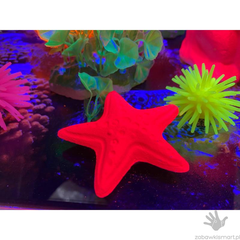 Magiczne akwarium - obrazek 4