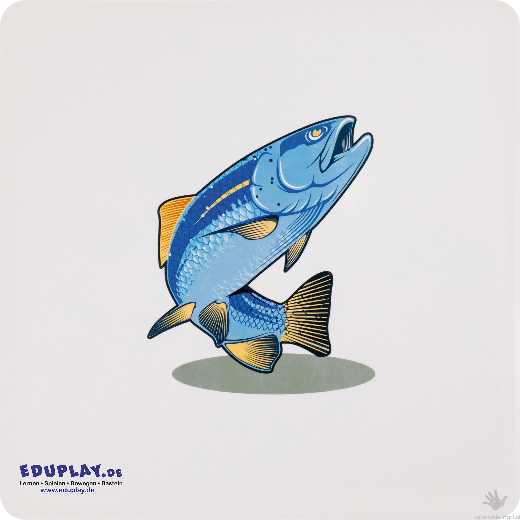 Zestaw kart dotykowych Eduplay- skóry zwierząt - obrazek 4