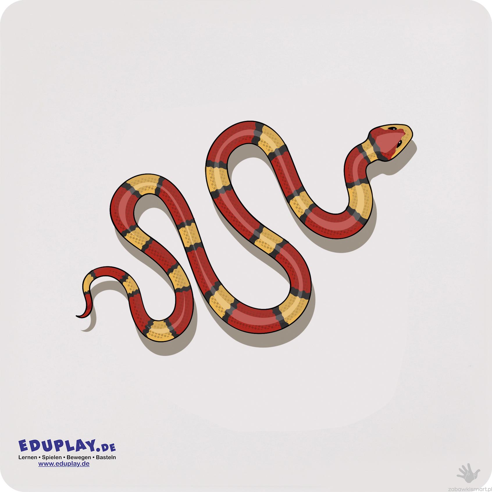 Zestaw kart dotykowych Eduplay- skóry zwierząt - obrazek 2