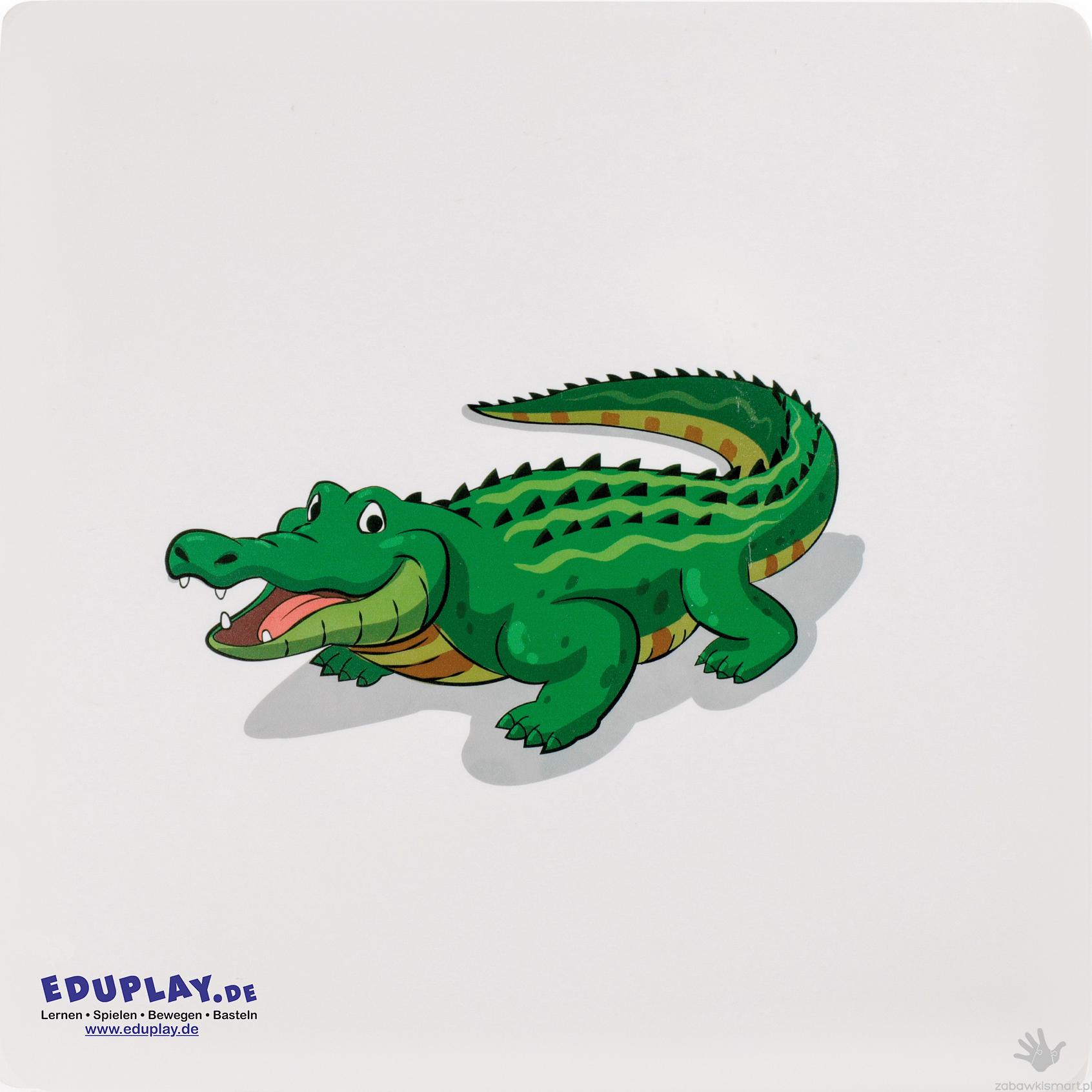 Zestaw kart dotykowych Eduplay- skóry zwierząt - obrazek 8