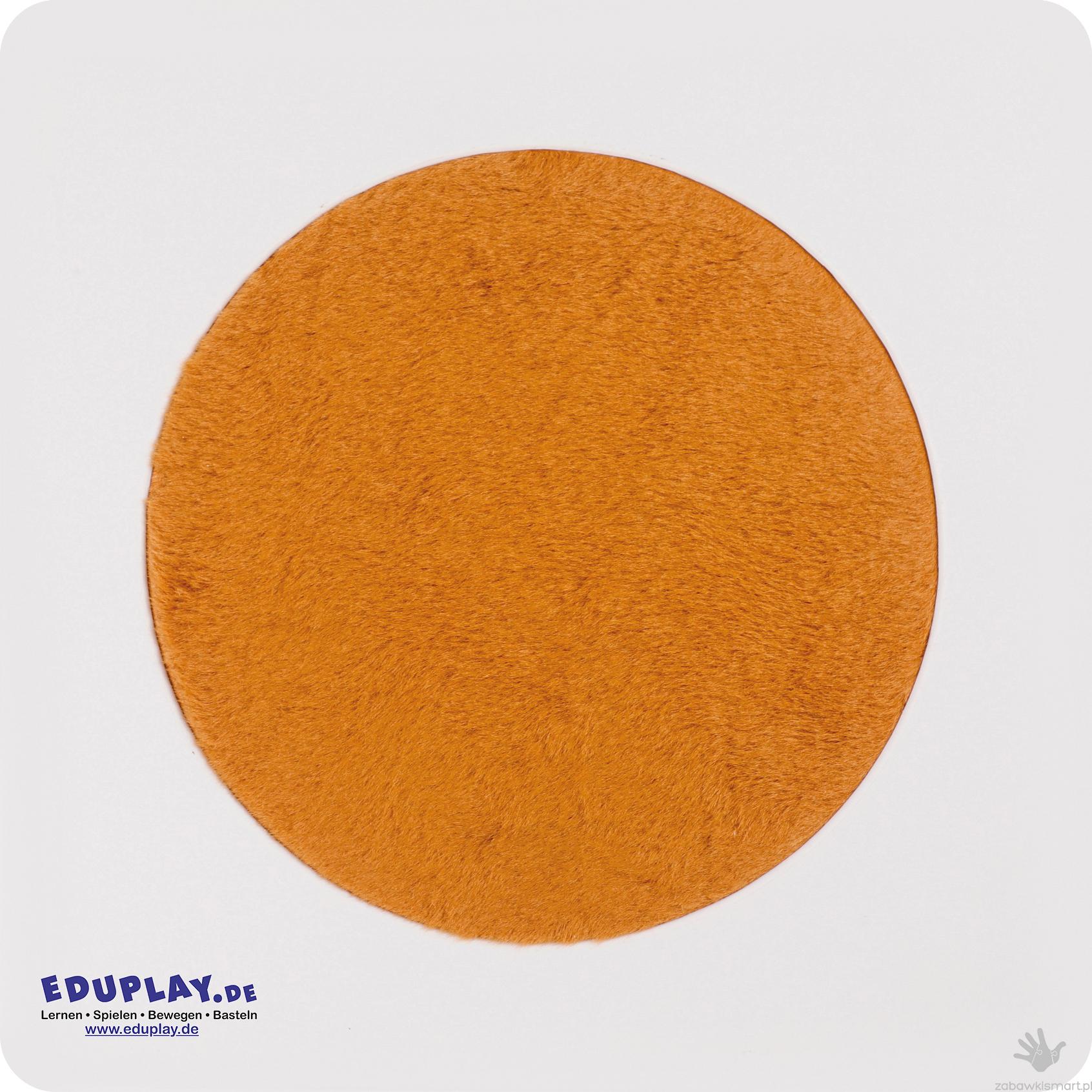 Zestaw kart dotykowych Eduplay- skóry zwierząt - obrazek 13