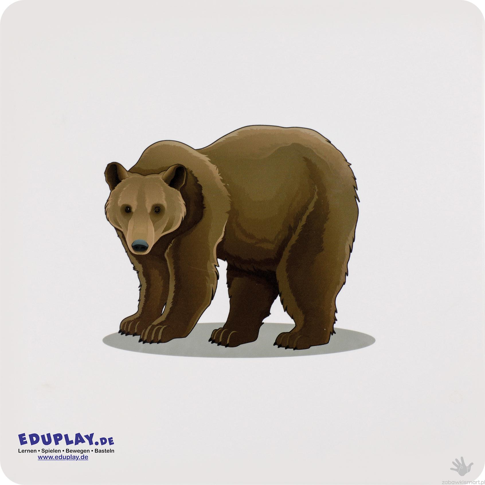 Zestaw kart dotykowych Eduplay- skóry zwierząt - obrazek 12