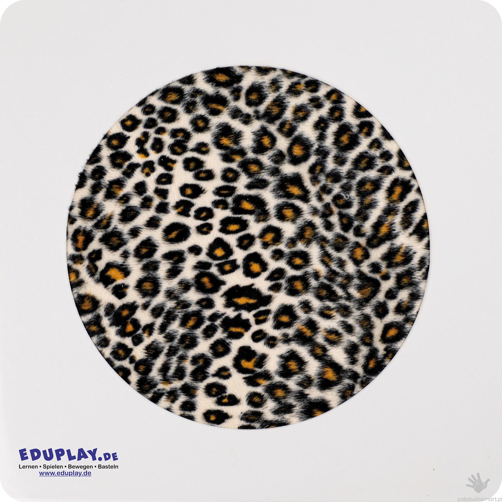 Zestaw kart dotykowych Eduplay- skóry zwierząt - obrazek 7