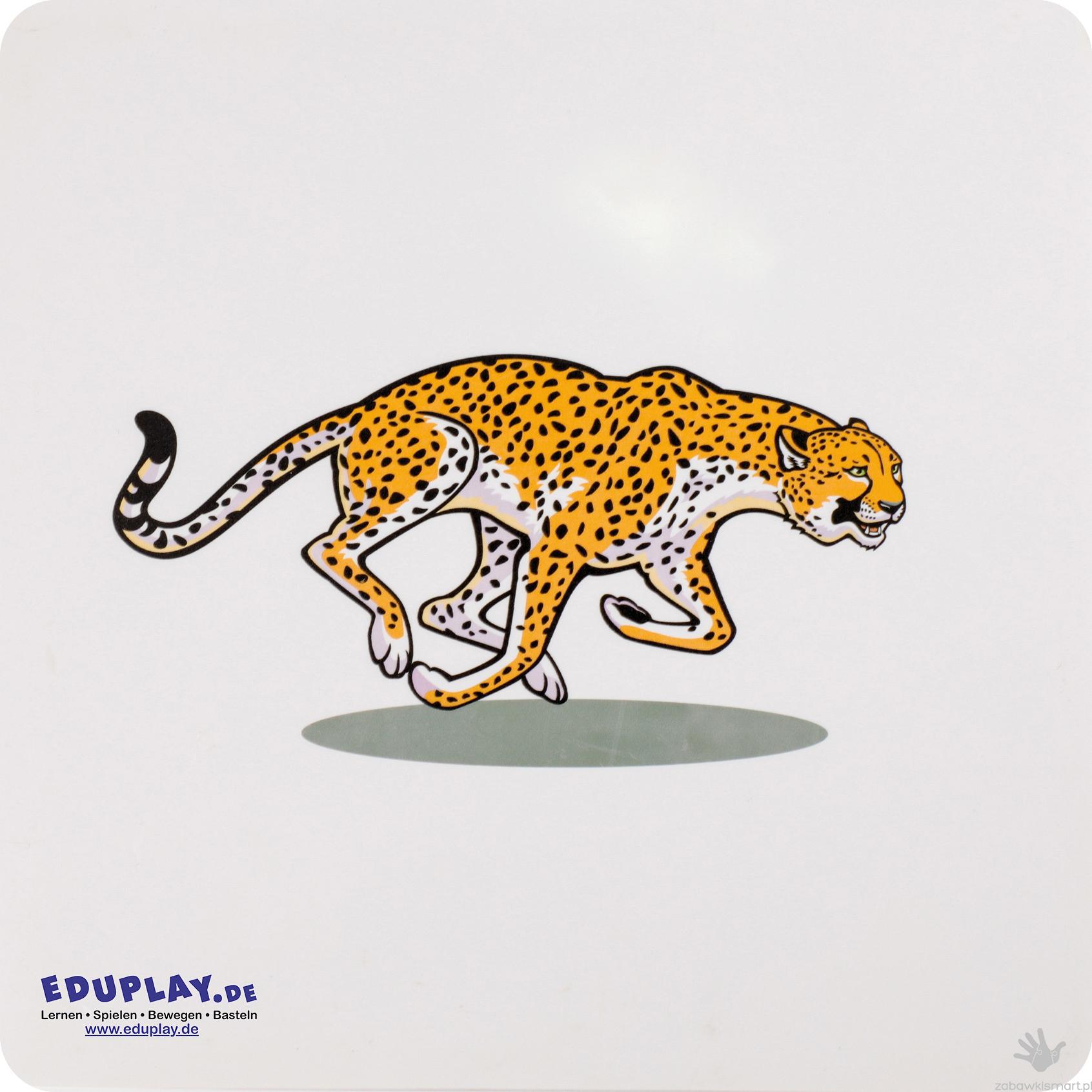 Zestaw kart dotykowych Eduplay- skóry zwierząt - obrazek 6