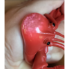Gniotek rak z drobinkami Robetoy- 18 cm - obrazek 4