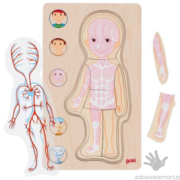 Puzzle warstwowe Chłopiec- ciało człowieka od wewnątrz Goki - obrazek 2