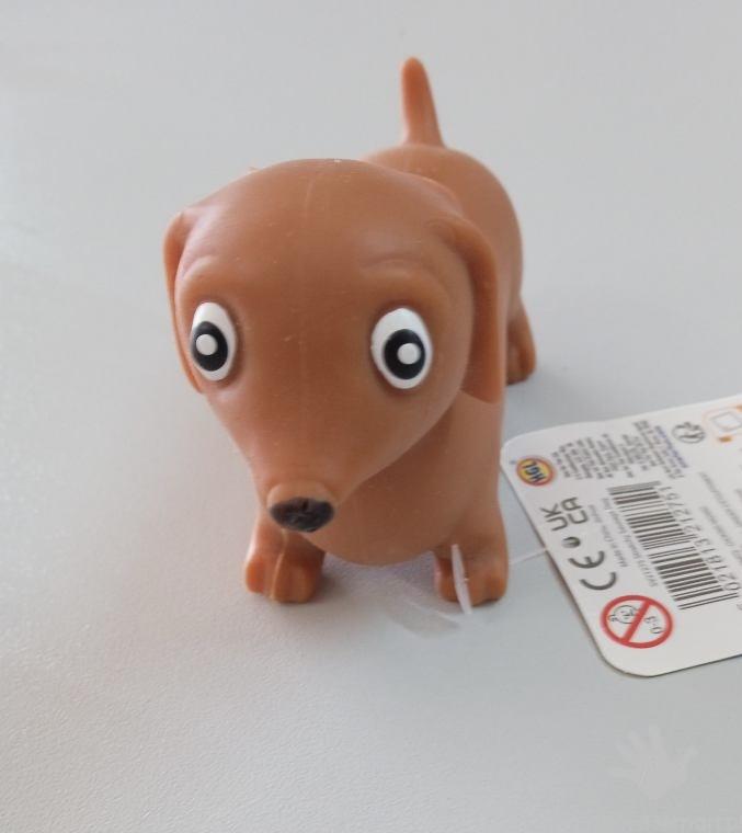 Rozciągliwy pies OneForFun- jamnik - obrazek 7