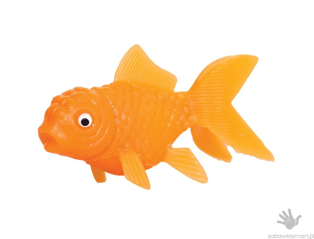 Złota rybka do kąpieli