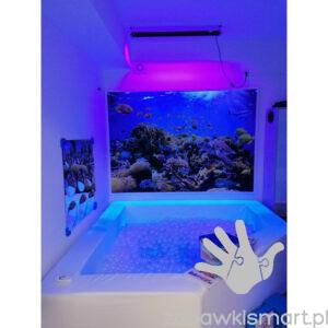 Rafa koralowa- tapeta