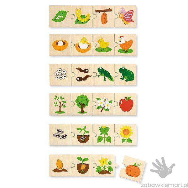 Układanka VIGA- jak rosną zwierzęta i rośliny? - obrazek 2